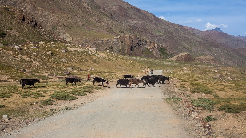Cycling from Padum to Abran in Zanskar Valley