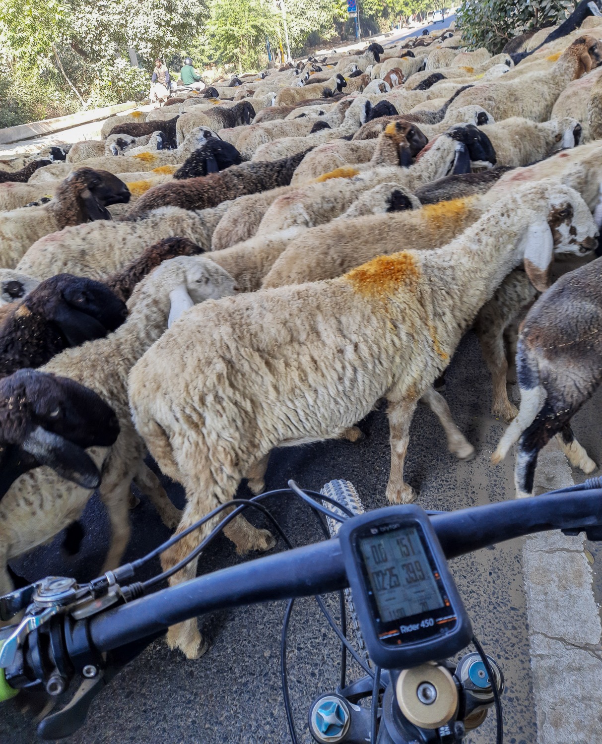 Bryton Rider 450 User Review The Power Bank Cycling Monks